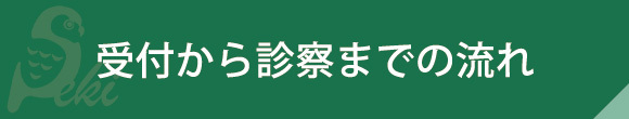 受付から診察までの流れ